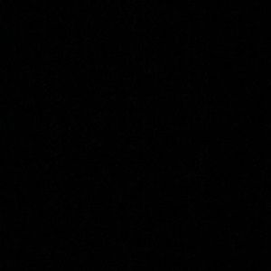 Meet your Posher, Riley